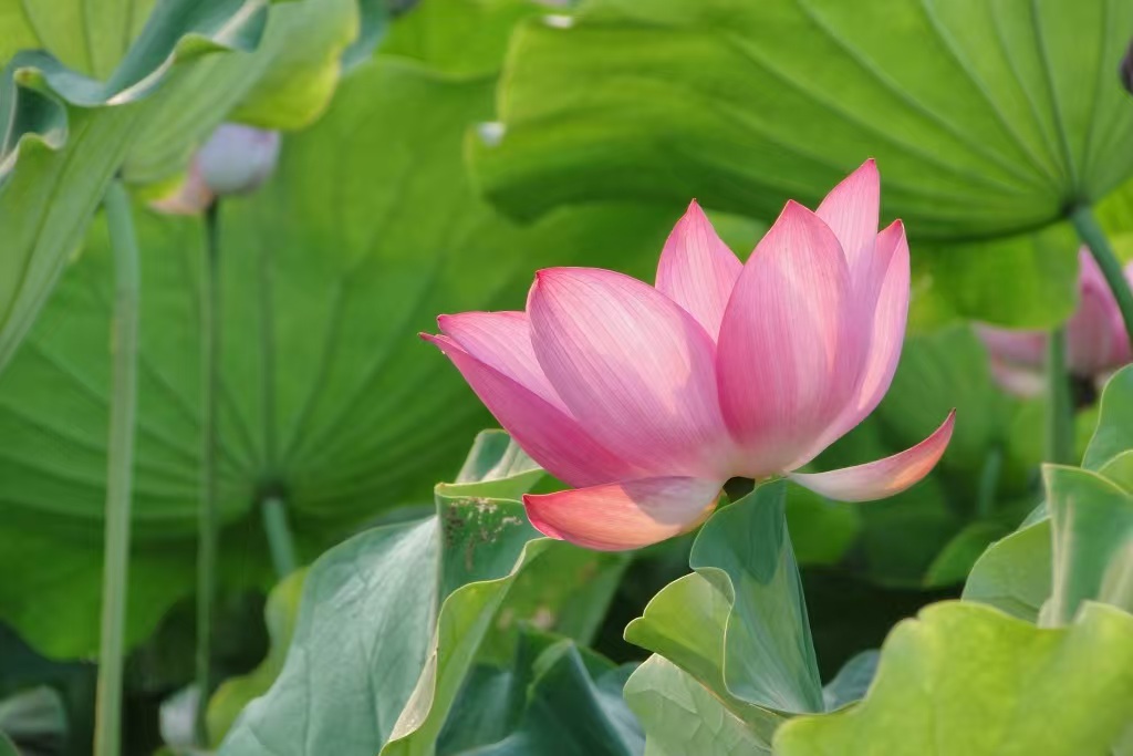 a9b3b5323cb7773bf68789c71faa4607.jpg