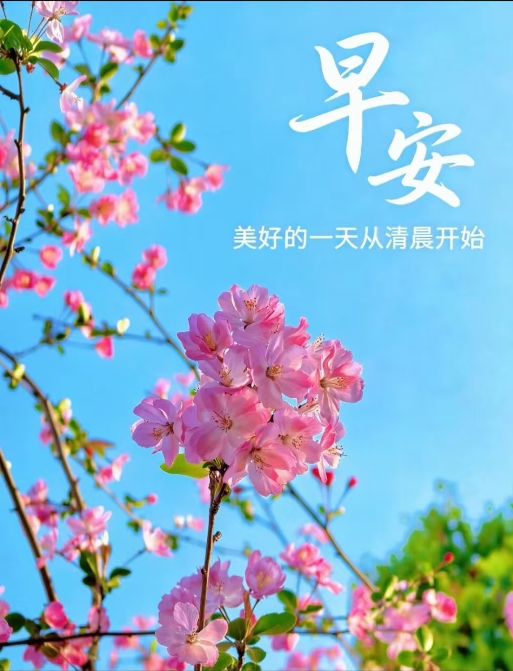 微信图片_20260505093826_47_1760.jpg