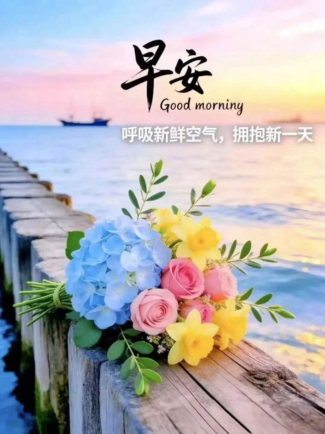 微信图片_20260826080845_44_2501.jpg