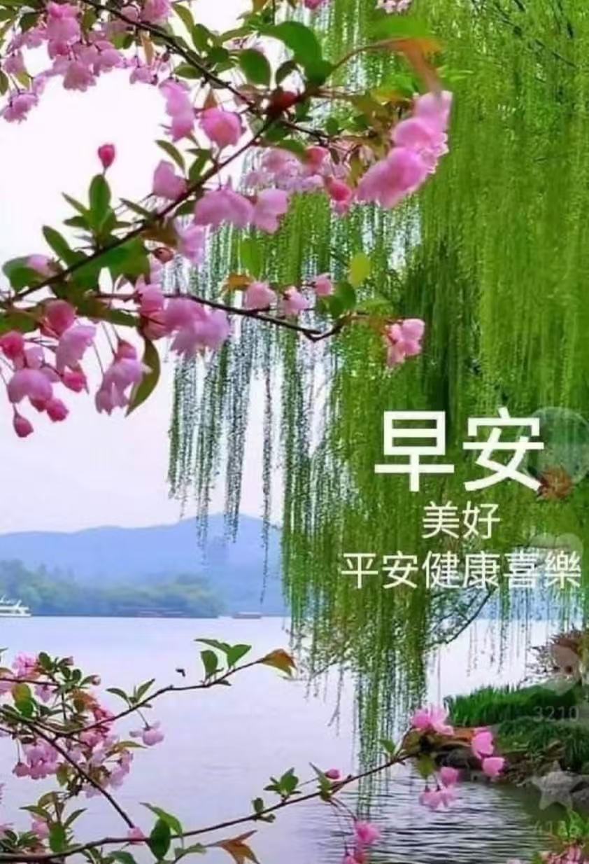 微信图片_20260628071730_291_1749.jpg
