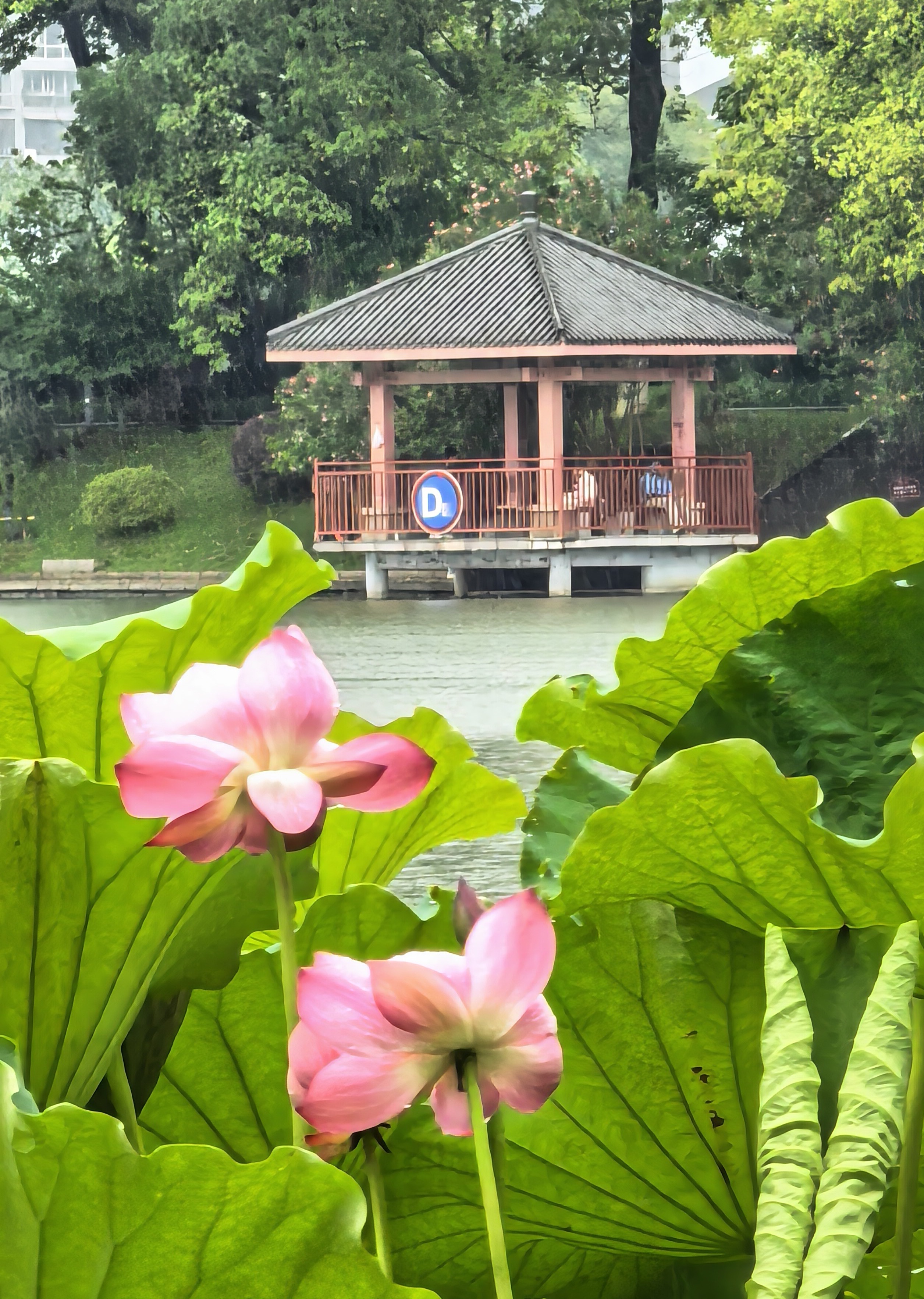 微信图片_20260613172158_3083_1183.jpg