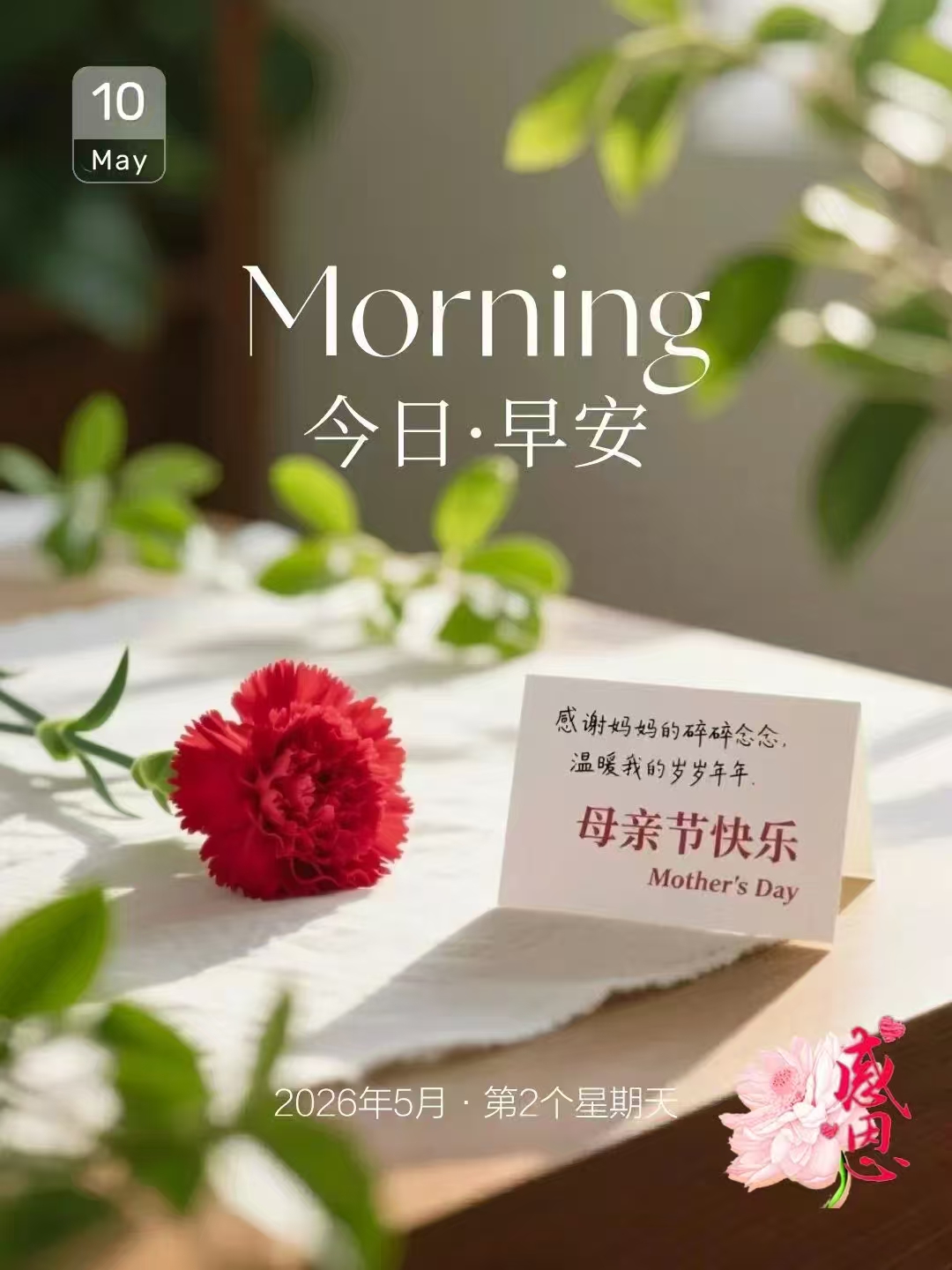 微信图片_20260510085009_189_739.jpg