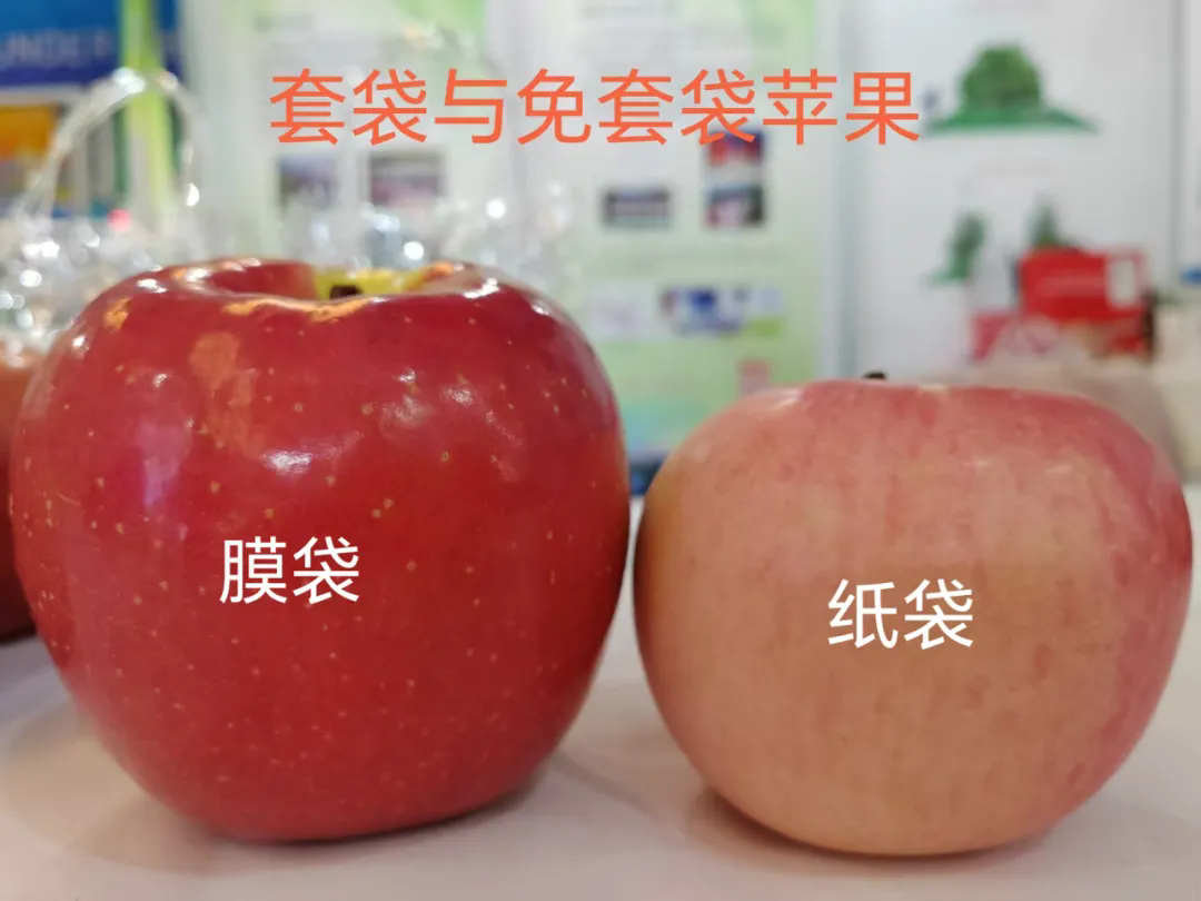 640.webp (1).png