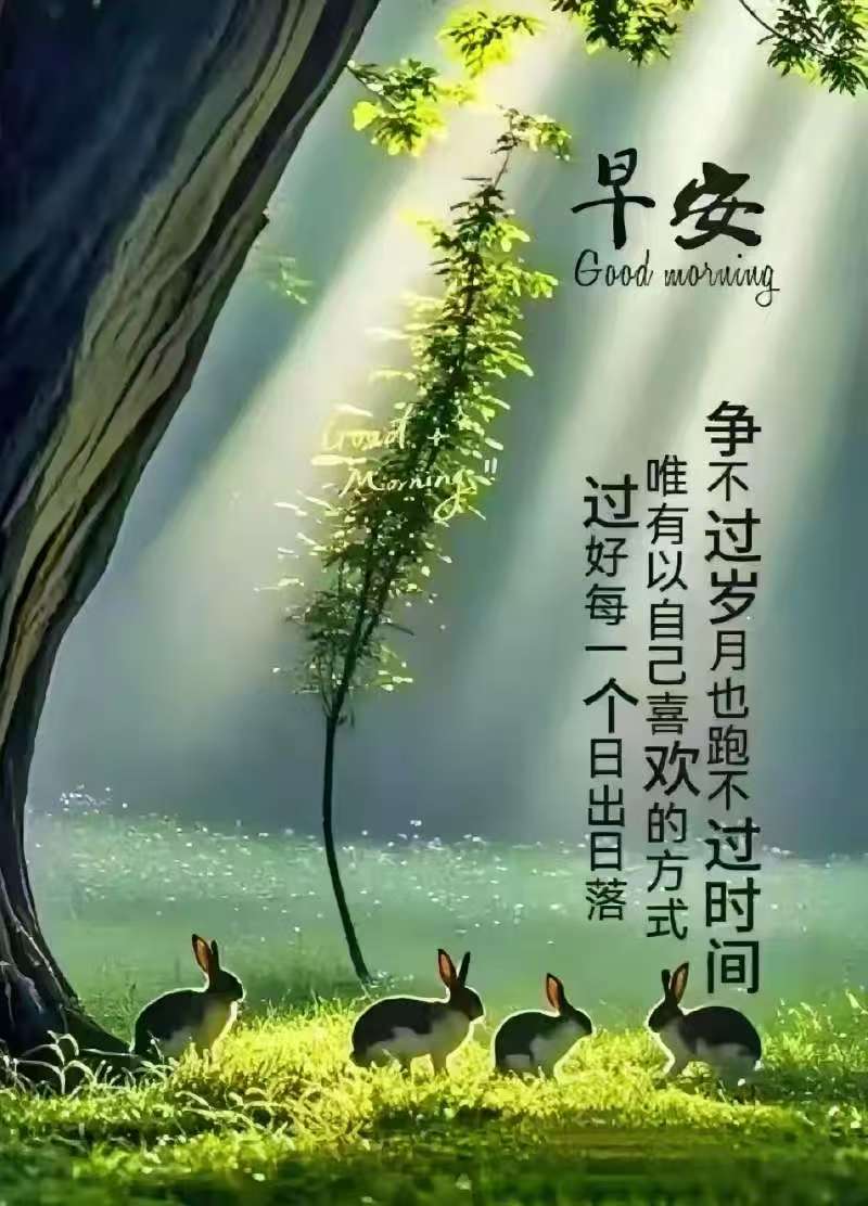 微信图片_20250624055000.jpg