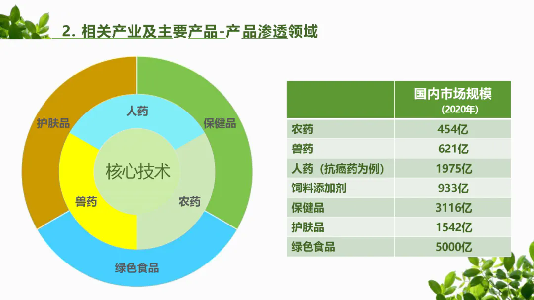 640.webp (5).png