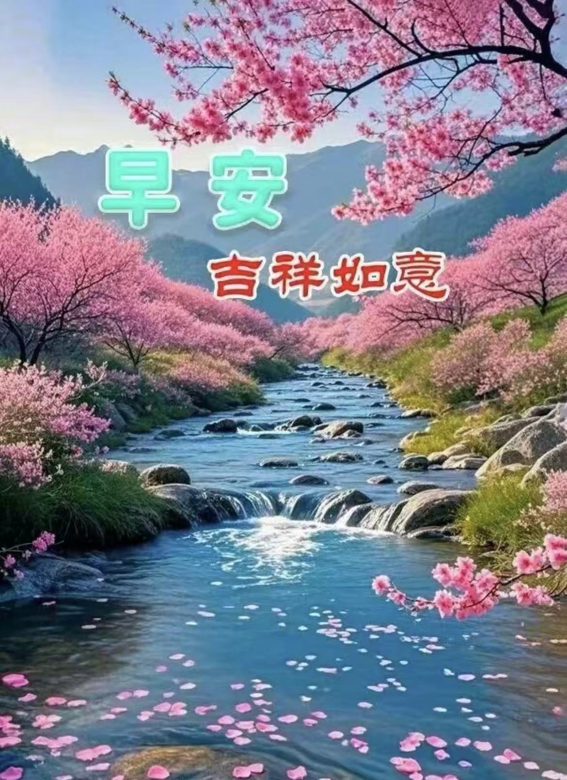 微信图片_20260430064118_81_3548.jpg